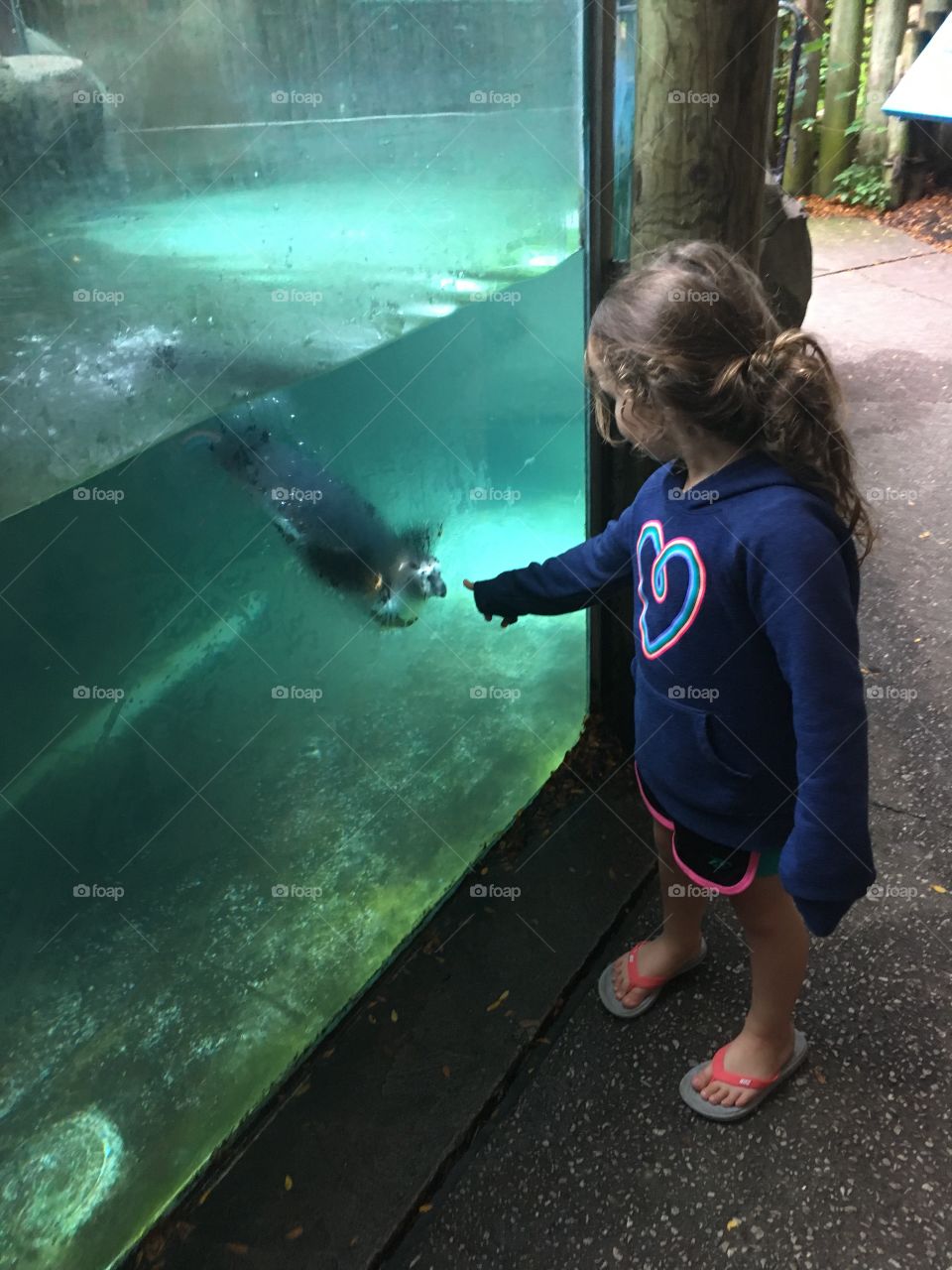 Connecting with penguins at the zoo.
