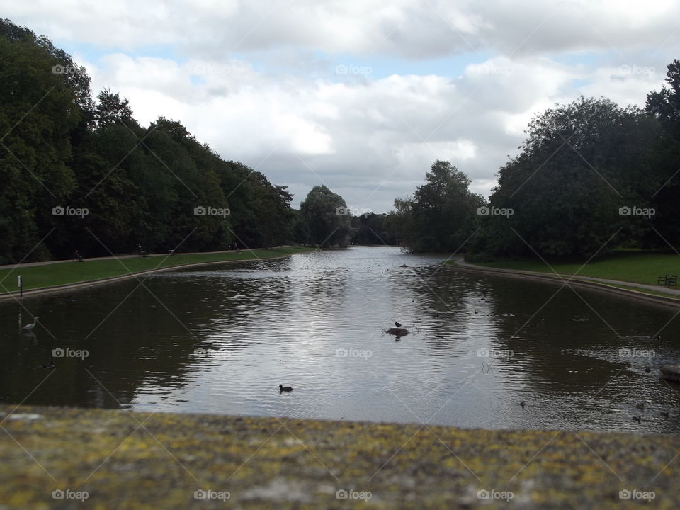 Lake In The Park