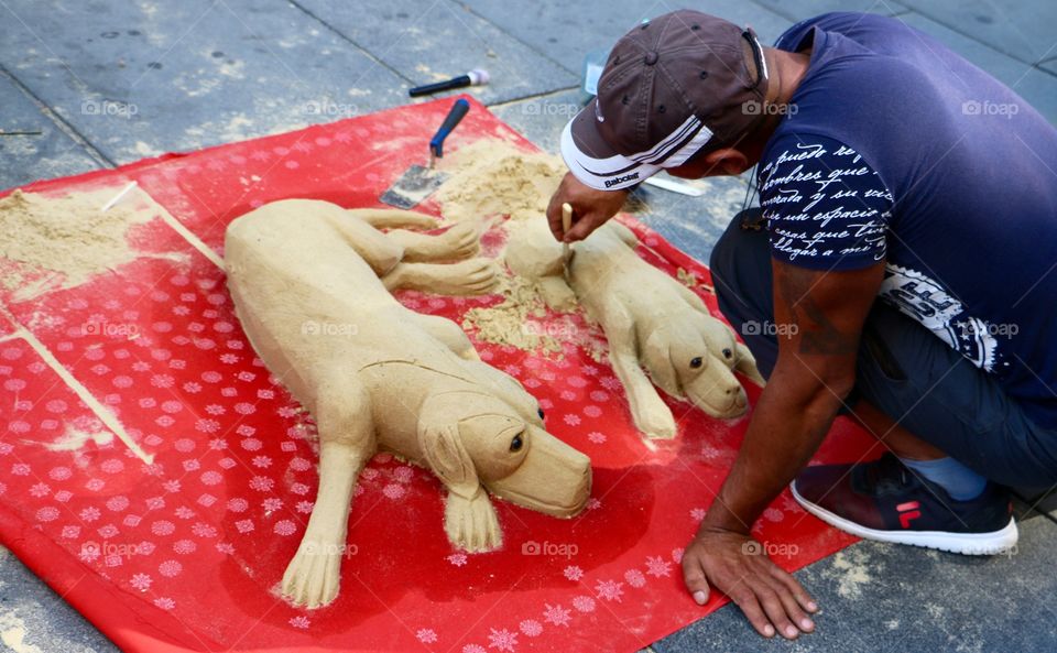 Sand dogs