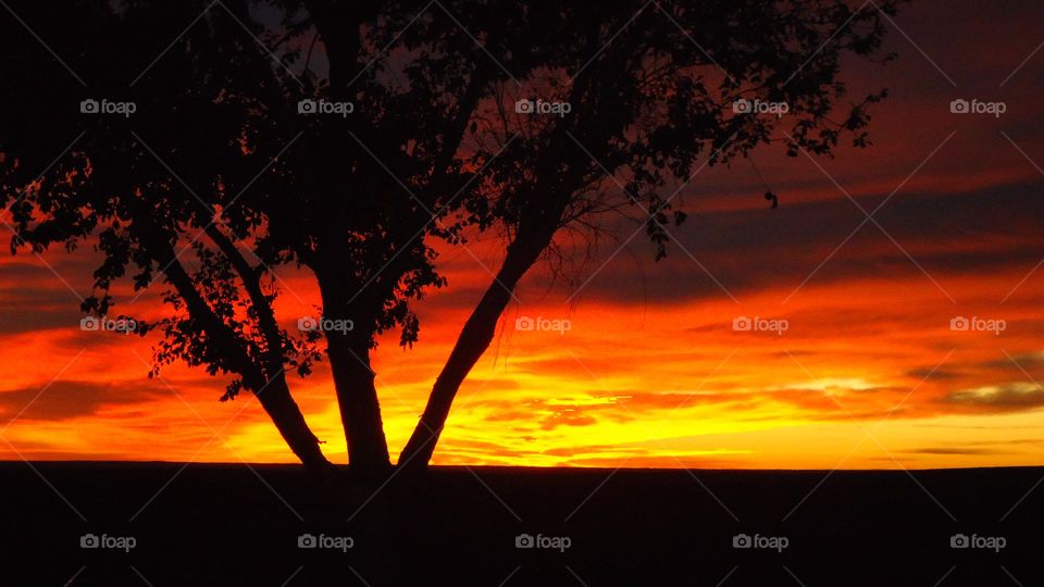 Fiery sunset on the plains