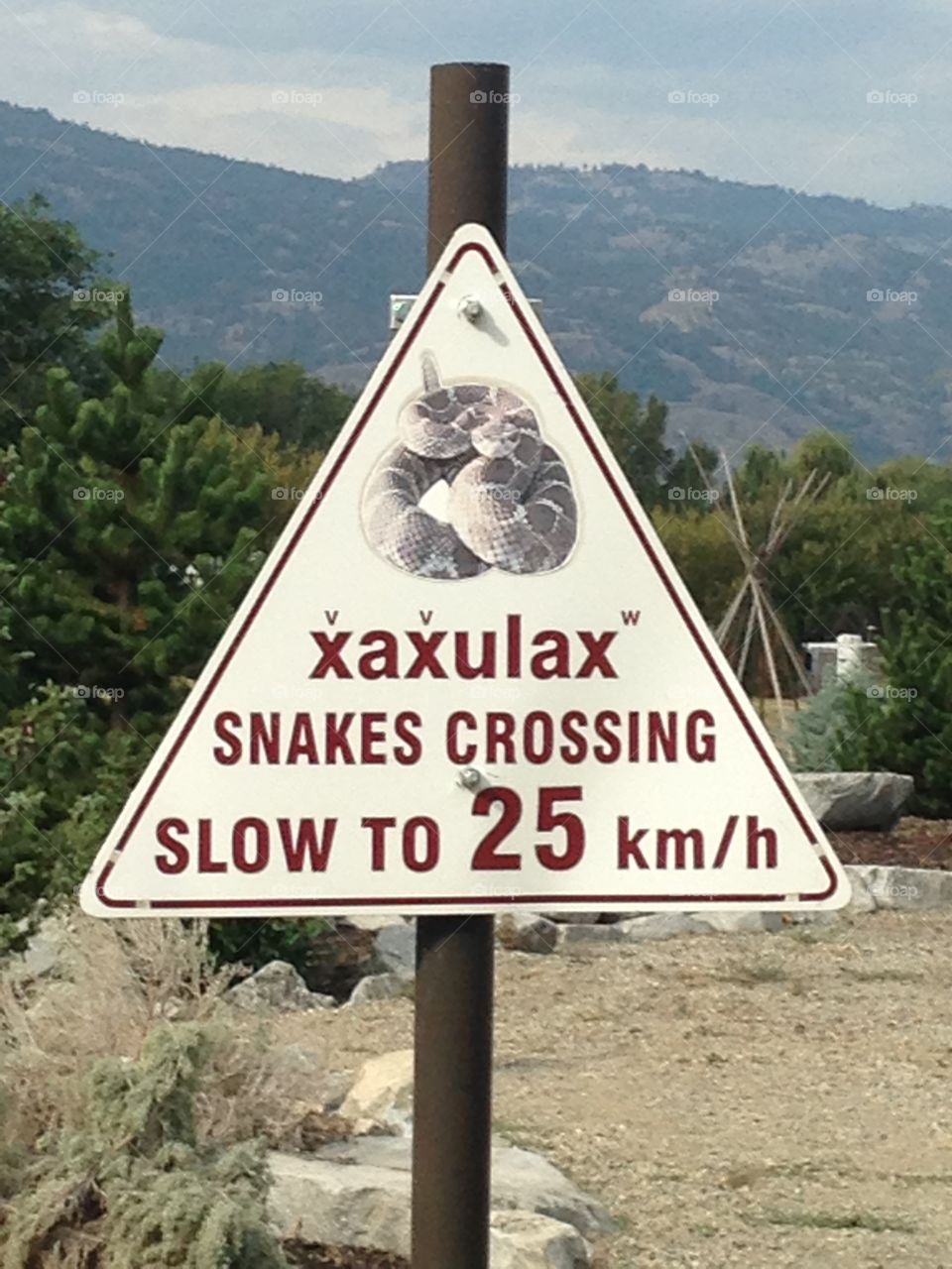 Sign snake crossing 