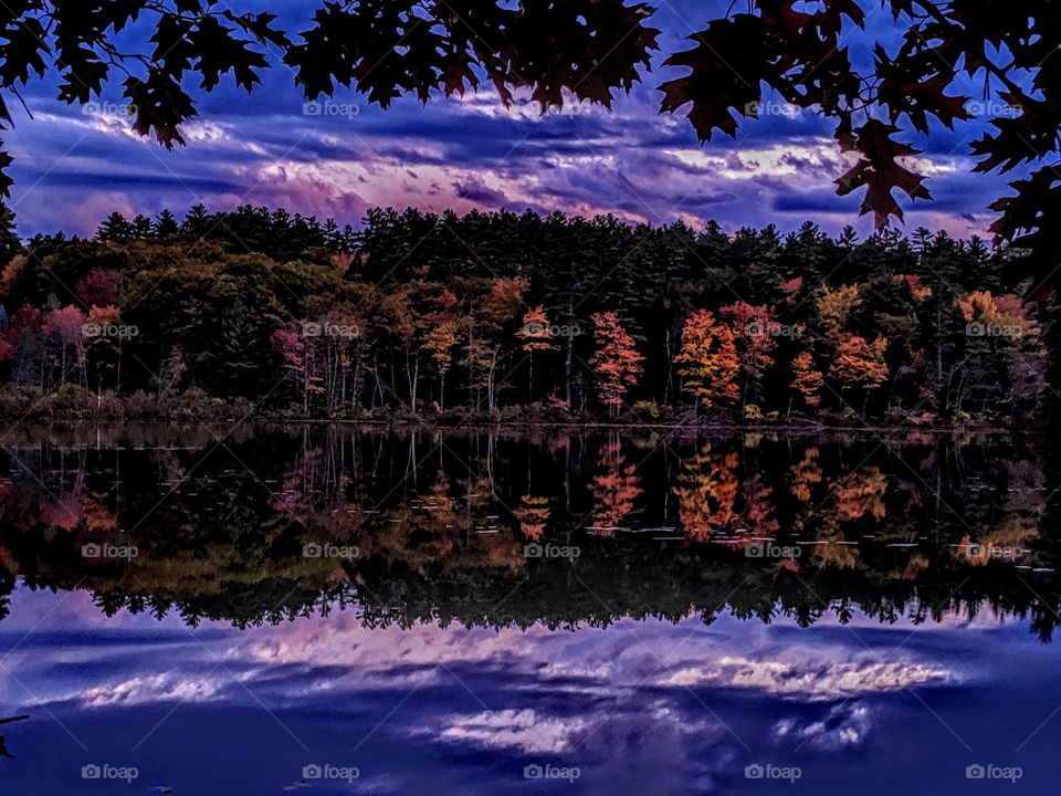 fall scenic view at sunset