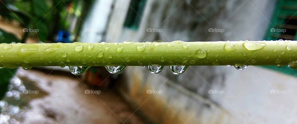 it's a wonder shot of raindrops