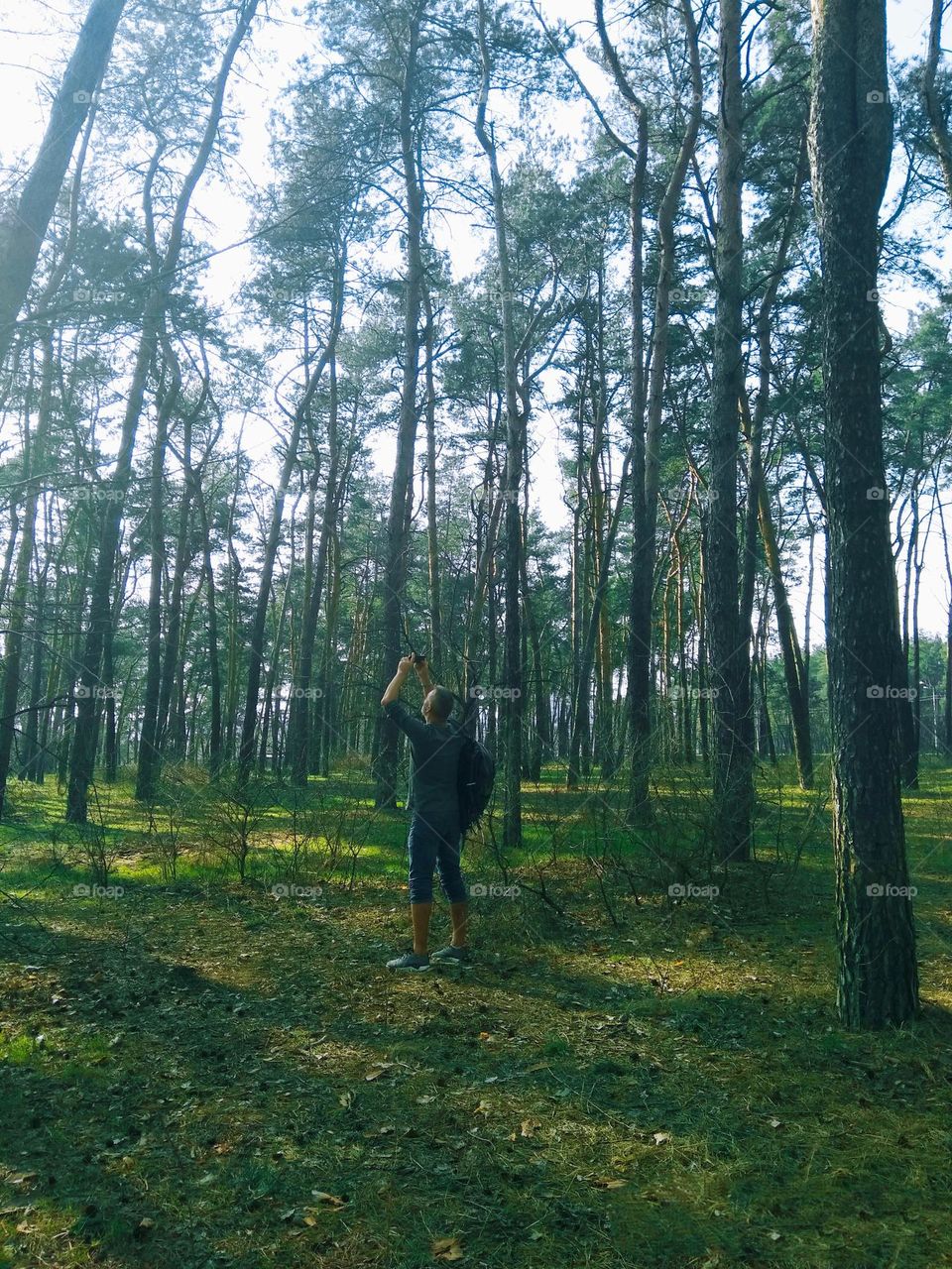 Enchanted lens exploring the magic forest