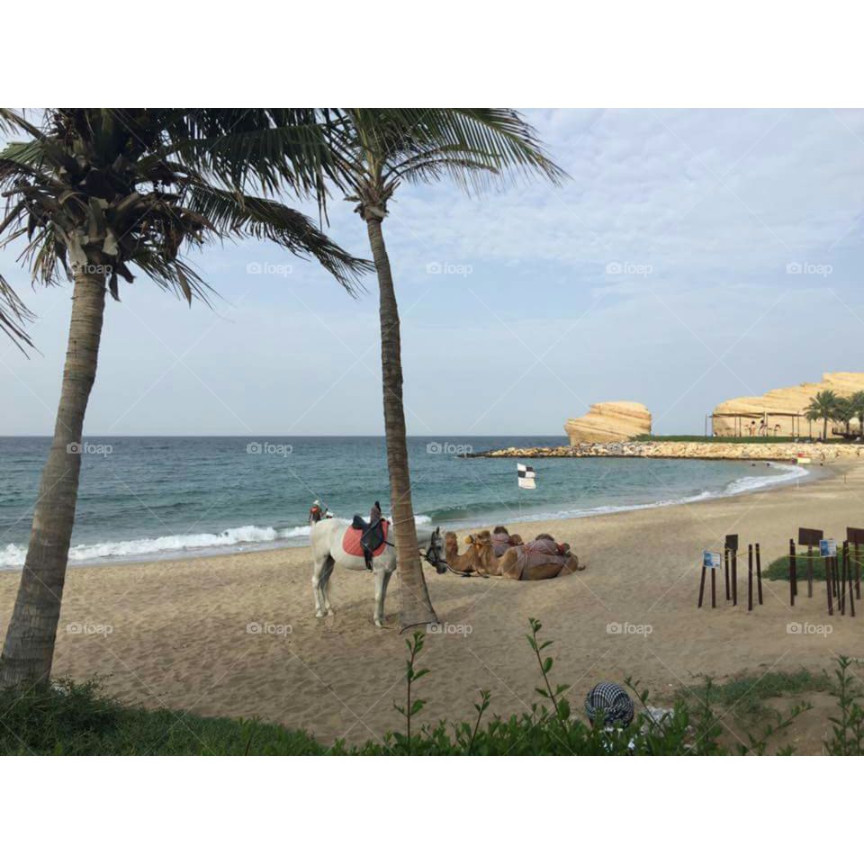 Oman beach