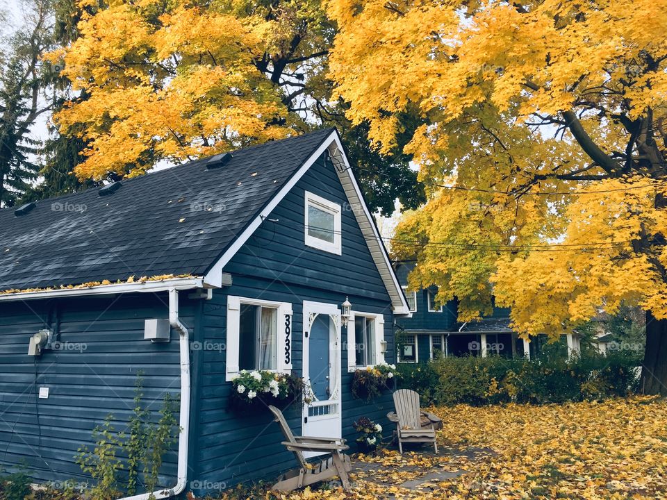 This is my cottage in the fall time 