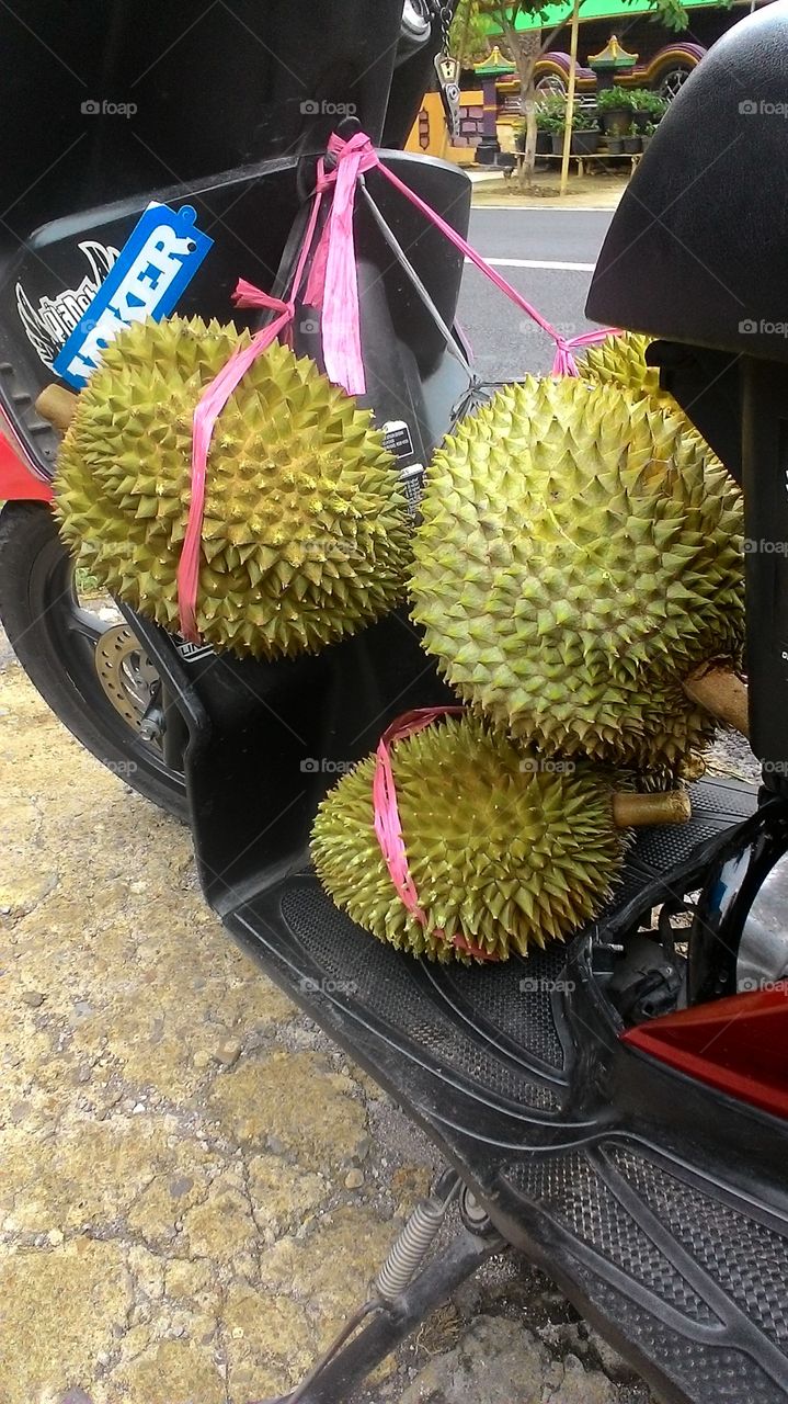 Durian 3 