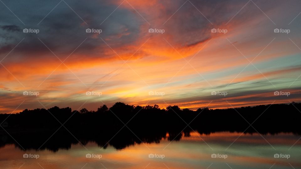 Silhouette of tree at sunset