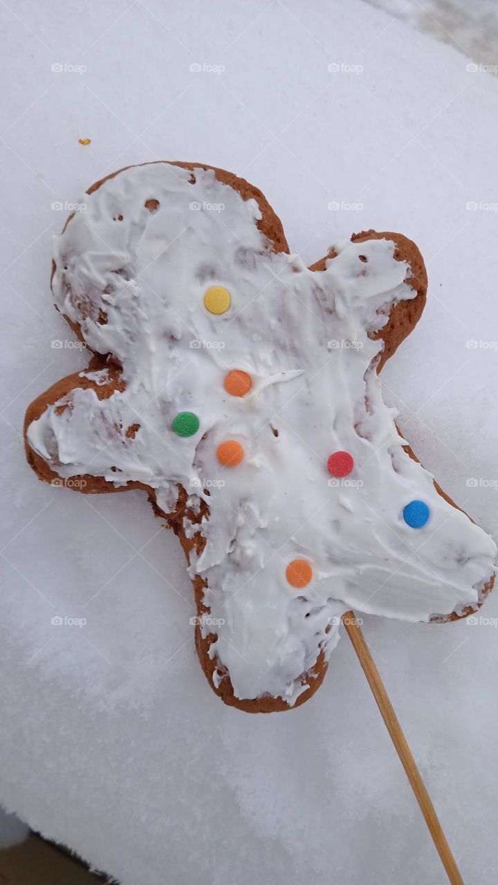 Gingerbread Cookie