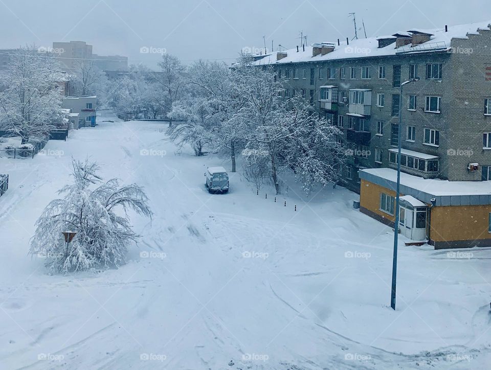 Winter Snow covered everything 