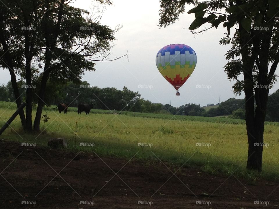 Low-Flying Passersby