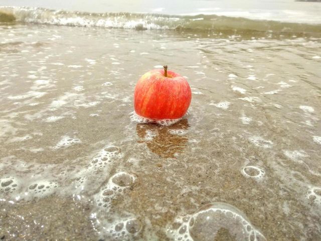 Apple on the beach