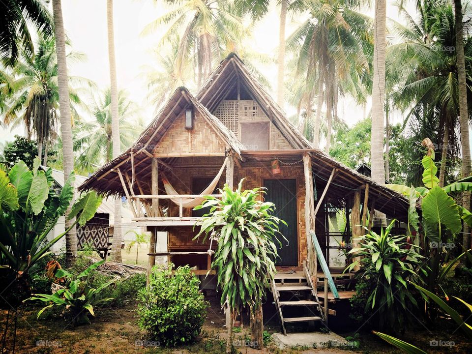 Jungle hut