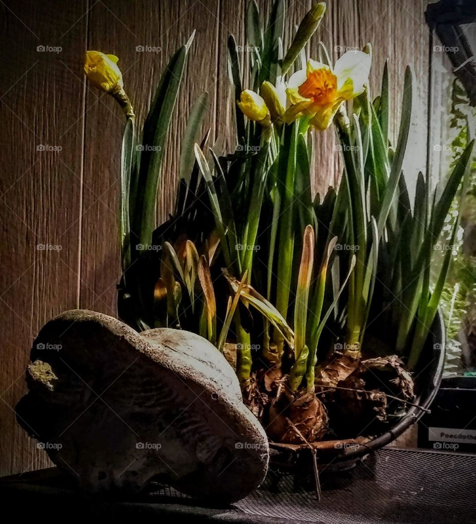 Life from the broken