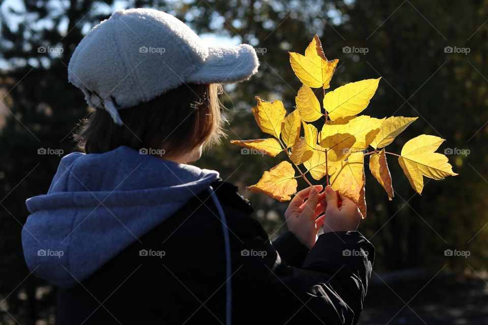 осенний букет