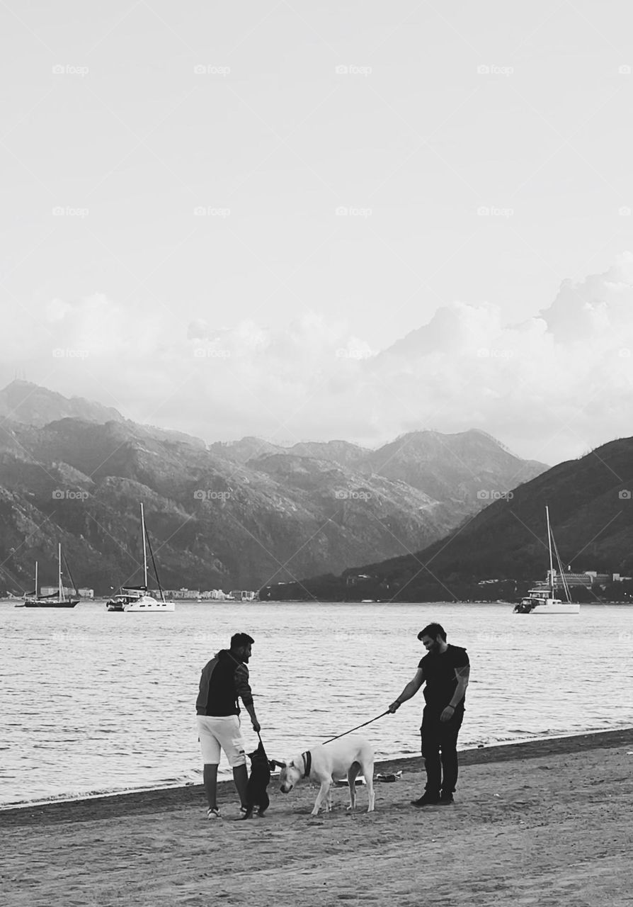 Two guys on the beach walking with their dogs