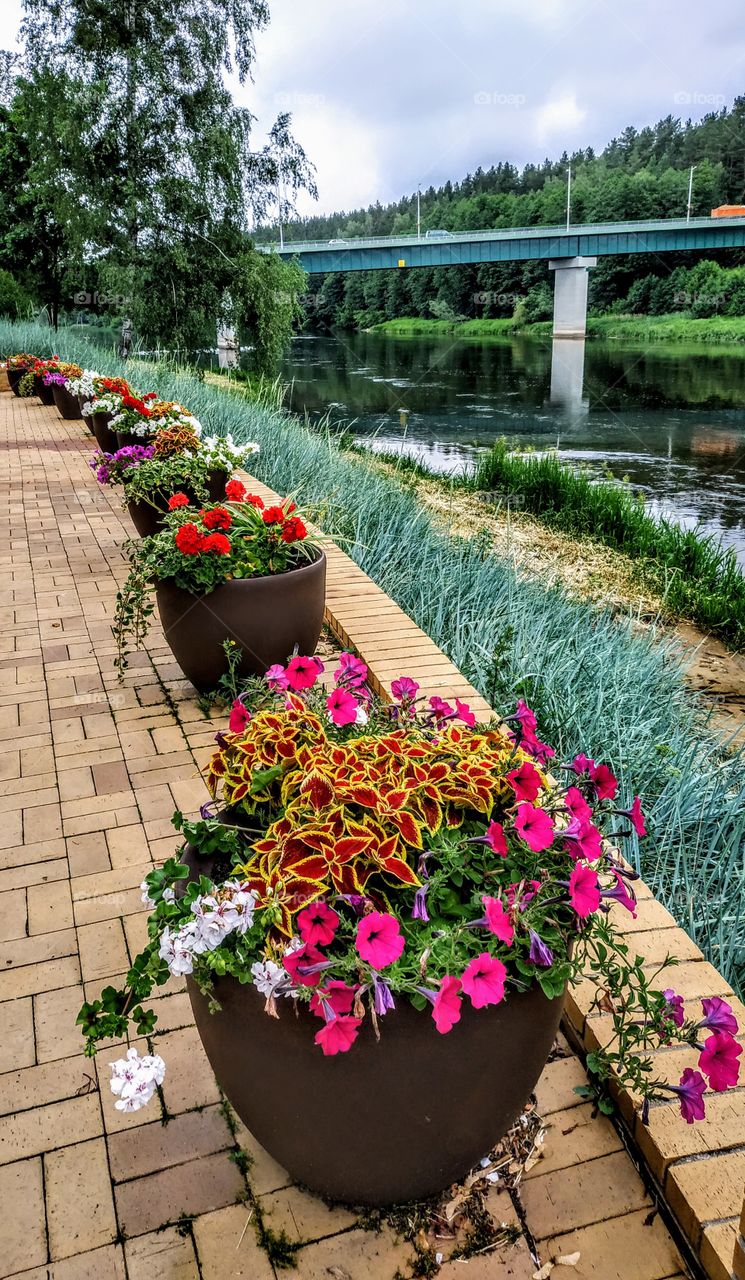 Summer on the Neman river.. (July, 2019.)