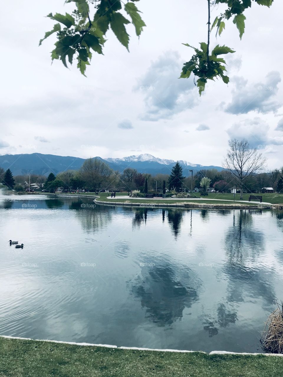 Nancy Lewis Park Pond in Colorado Springs. A beautiful park that has a great playground for kids