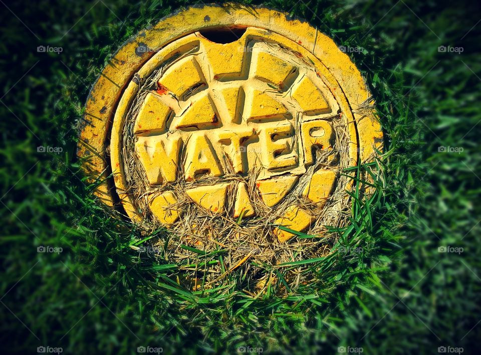 Yellow Water Sign