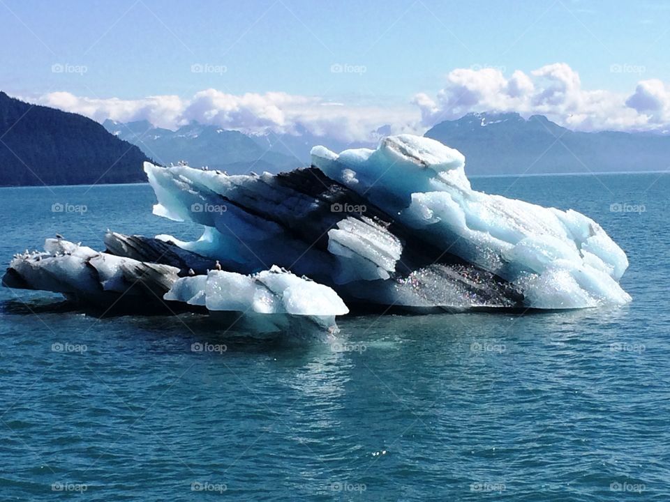 Ice from Glacier floating in Prince William Sound