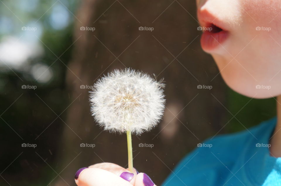 A person blowing dandelion