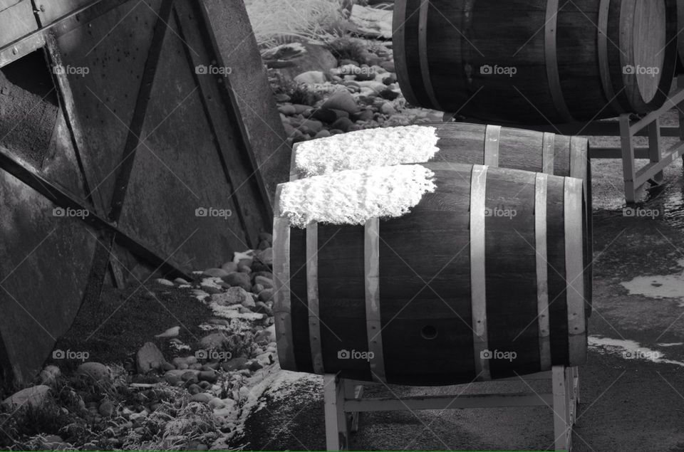 Wine Barrels in the snow
