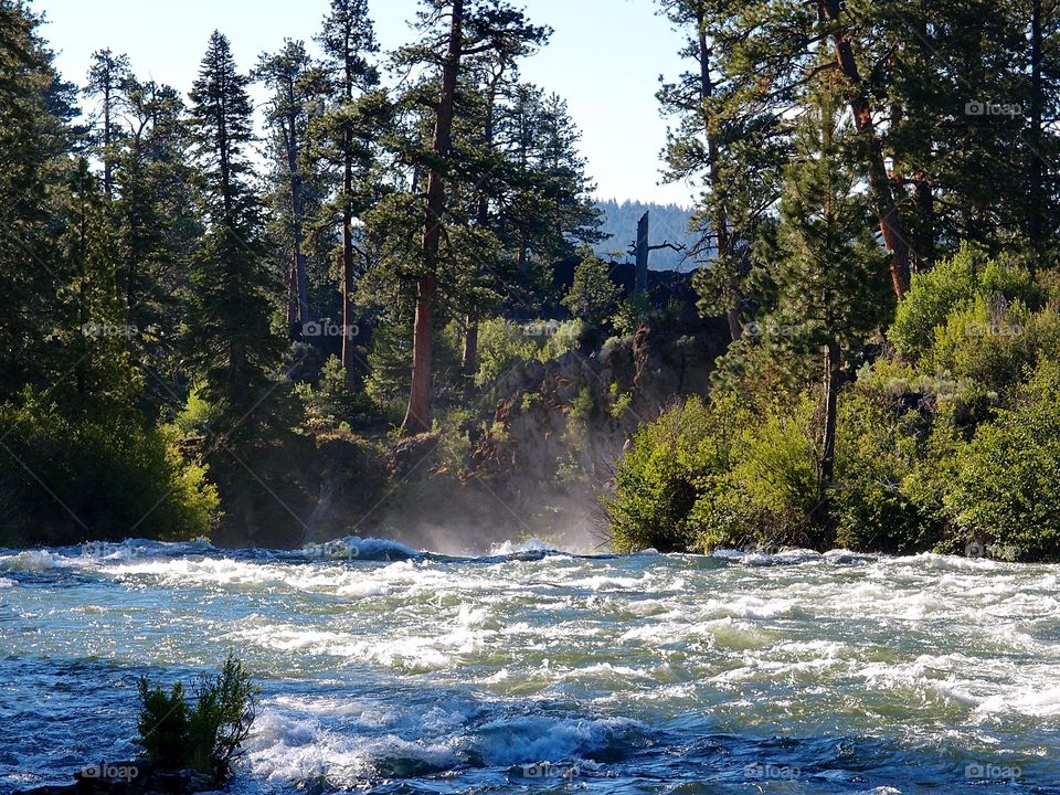 The Deschutes River in Central Oregon flows rapidly to the edge of Dillon Falls with mist as it flows over with Ponderosa trees and wild bushes on its banks on a sunny summer day. 