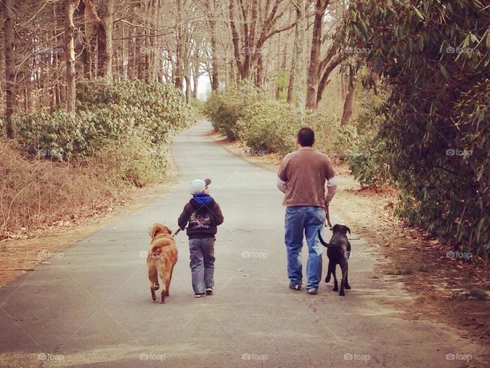 Father and son walking dogs