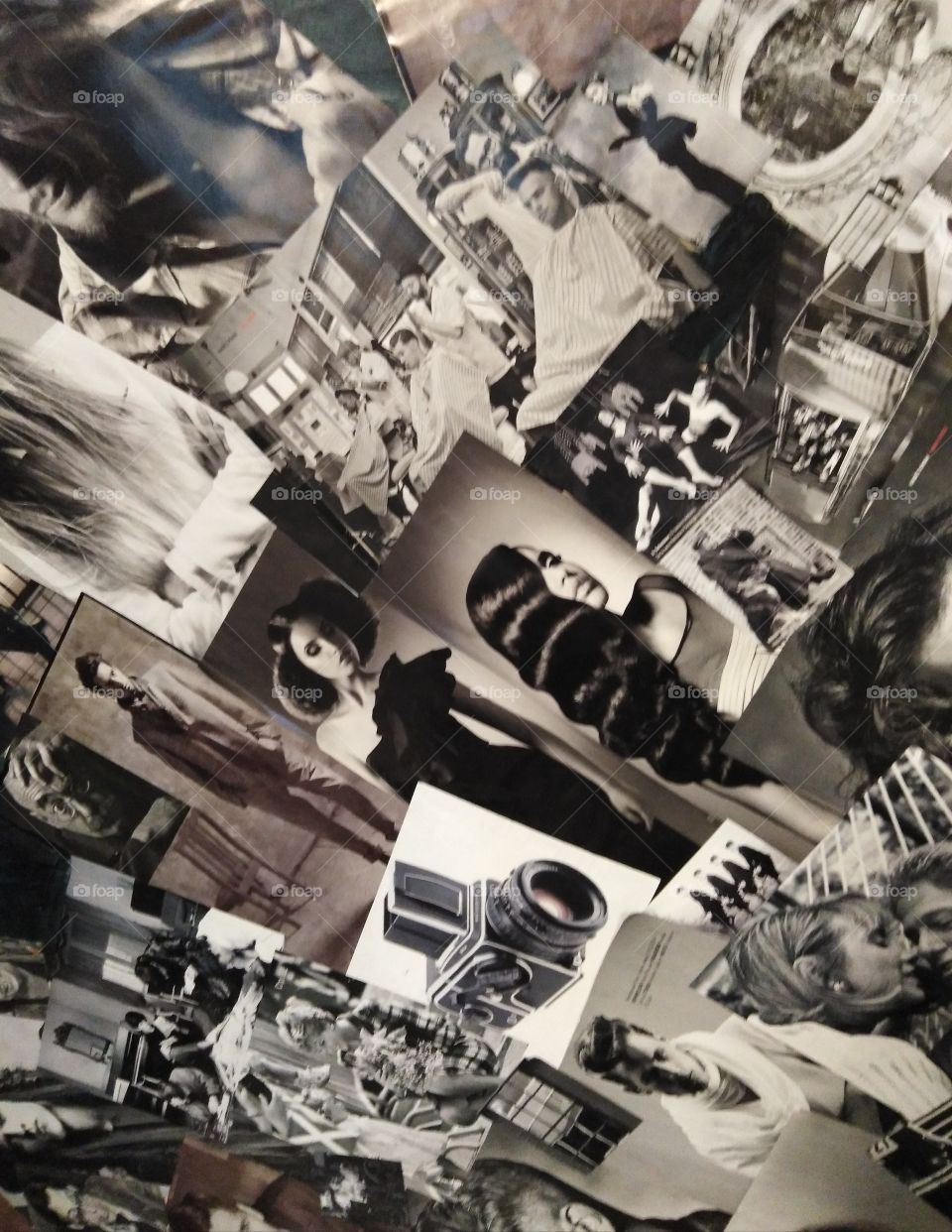 Фотографии