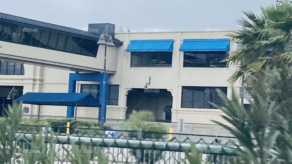 3 Cruise Ship Terminal one Terminal swaps space With Agriculture vessels Grains. Other Two Terminals house Cruise ships Twice Weekly.