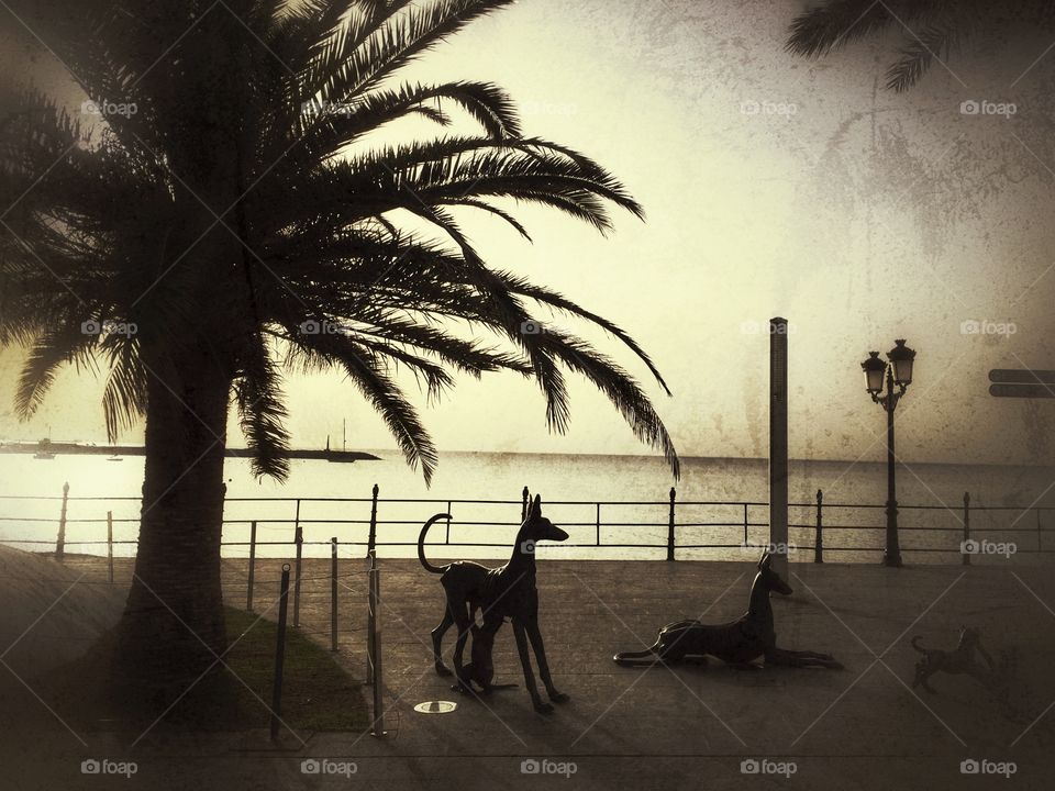 Morning in a seaside town