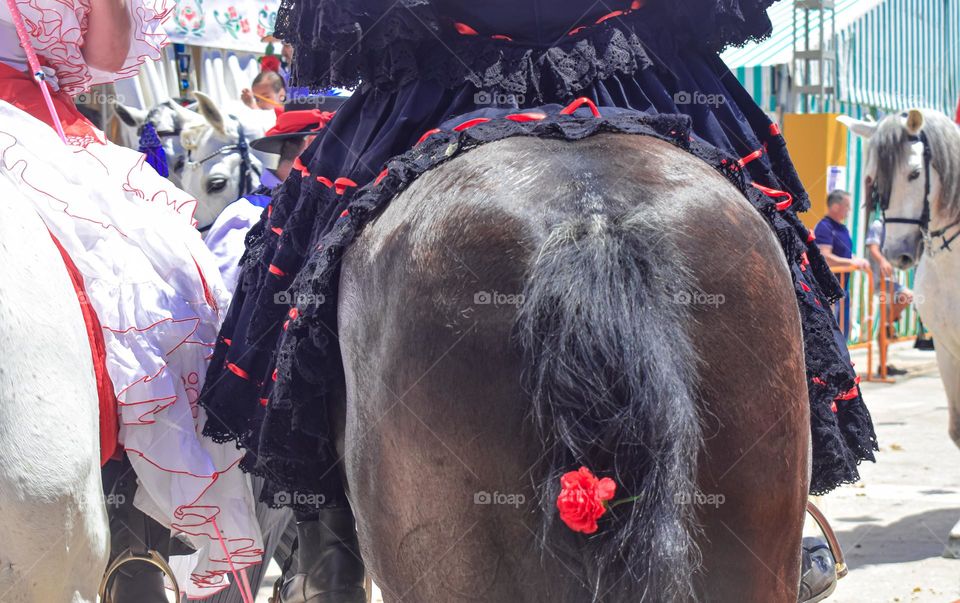 horse tail decorated by a rosr