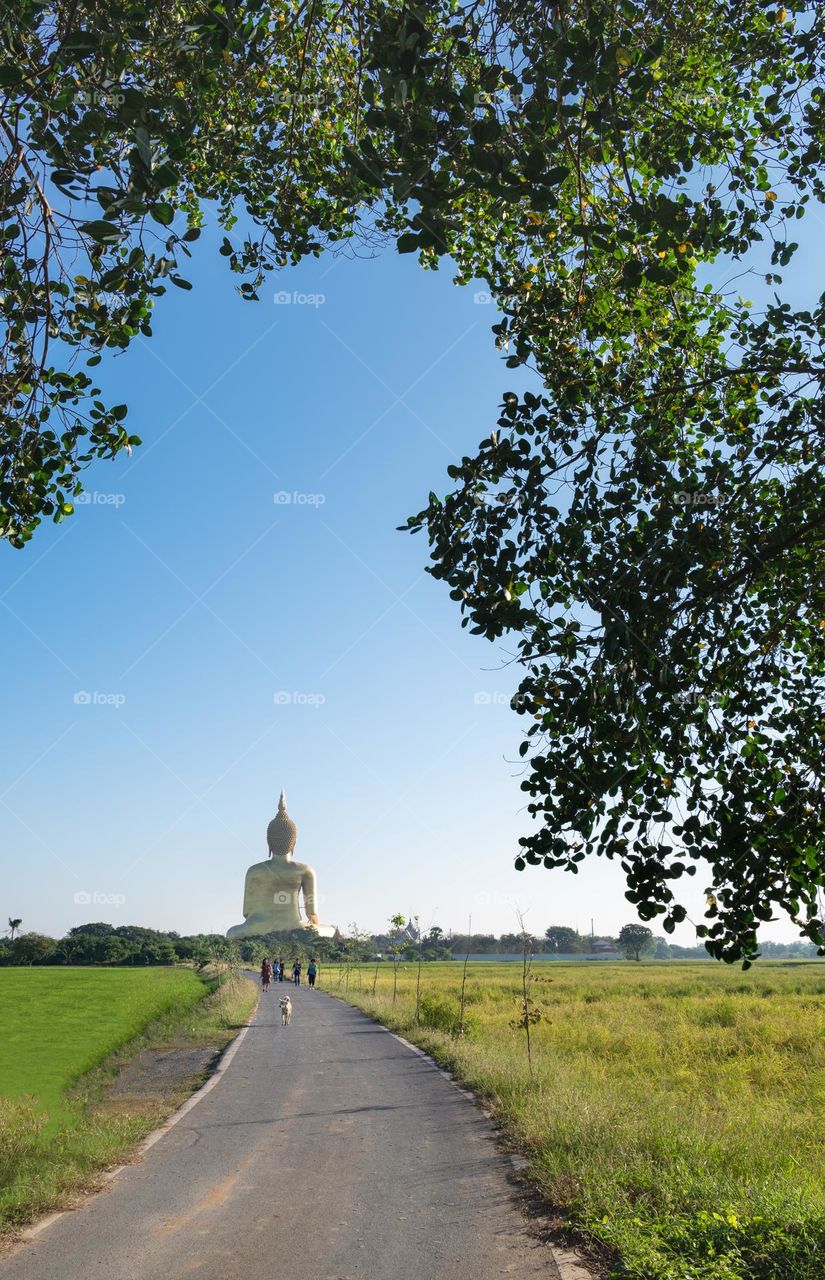 Tour in rice field