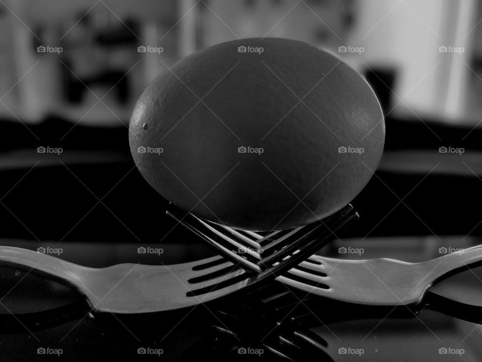 Egg and fork B&W