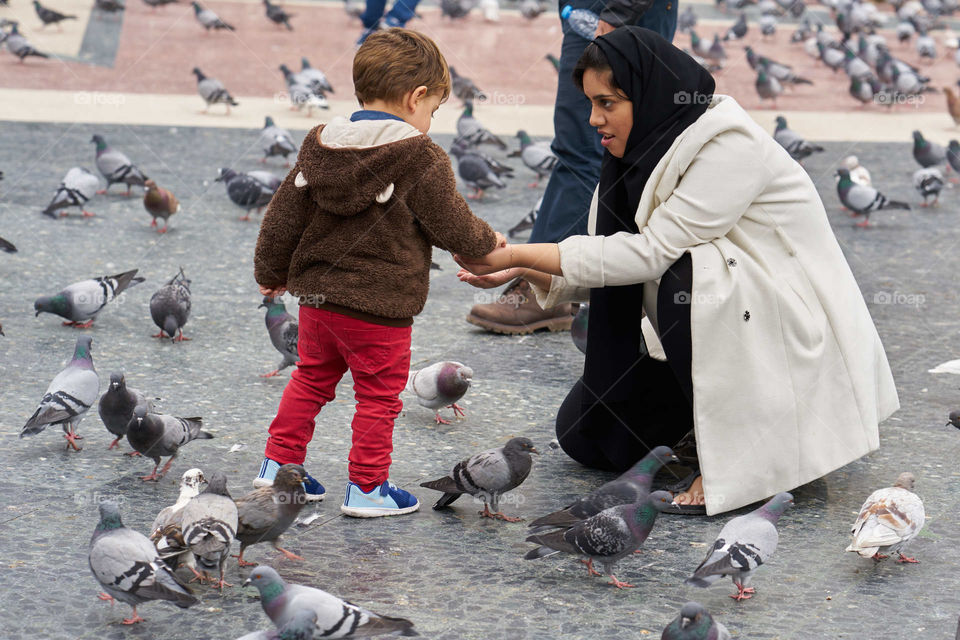 Mother, Son and Pigeons