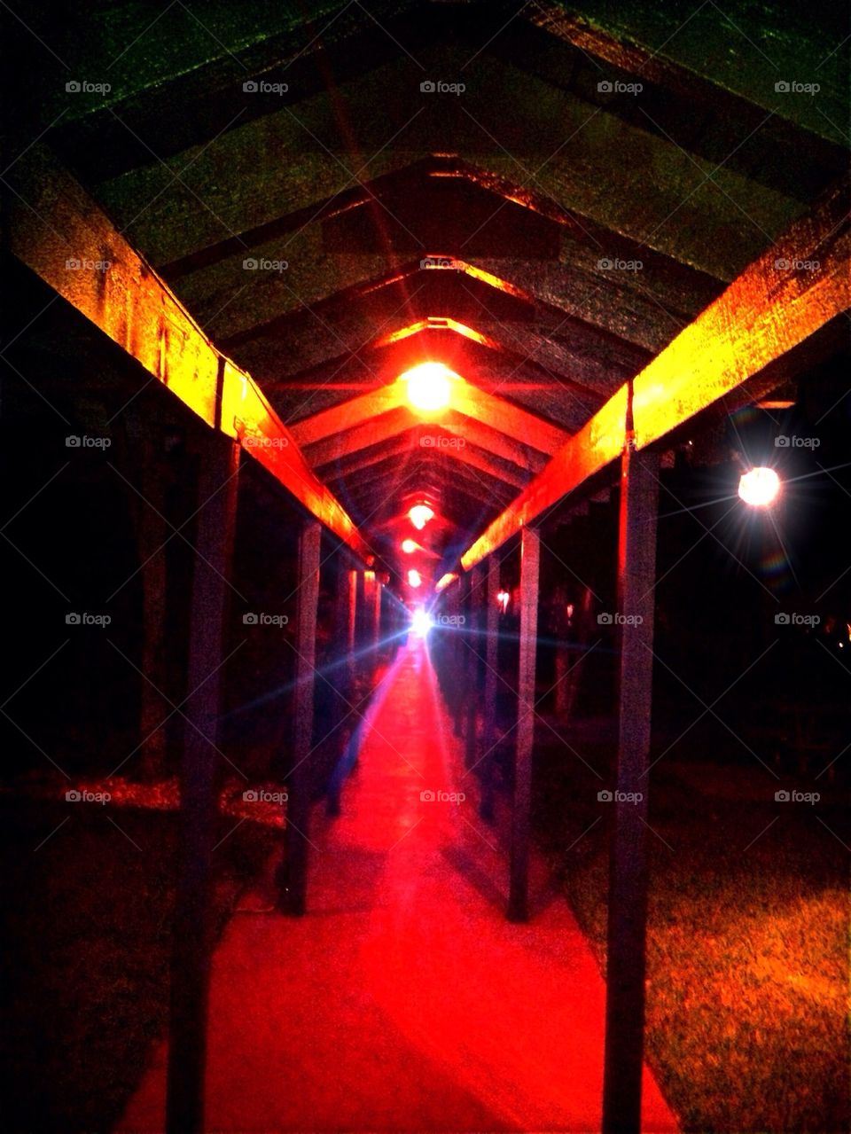 Pathway into the light