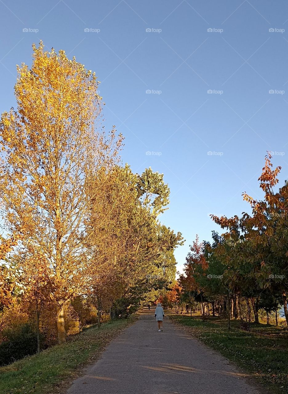 autumn beautiful nature landscape and person walking mobile photography