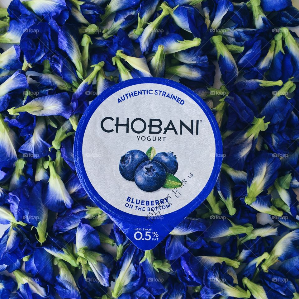CHOBANI in Amazing Sceneries : Chobani Blueberry with blue butterfly pea flowers.