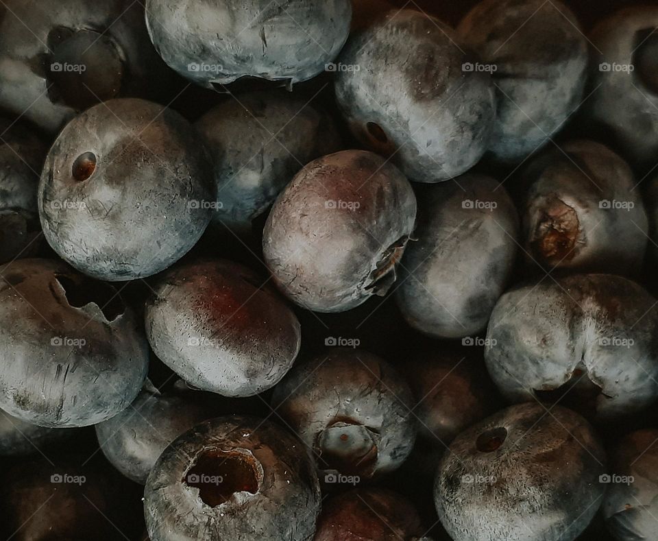 Aesthetic photo of blue rowan