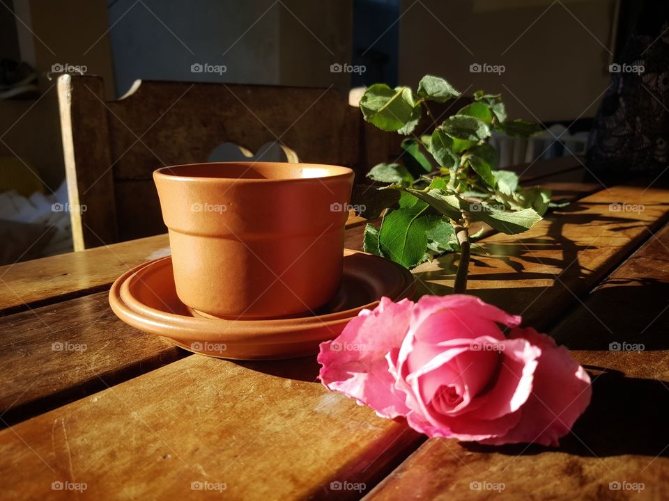 Flower in the morning