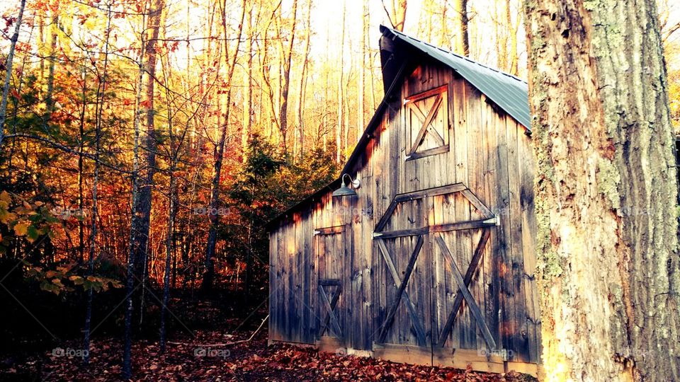 Autumn in North Carolina 