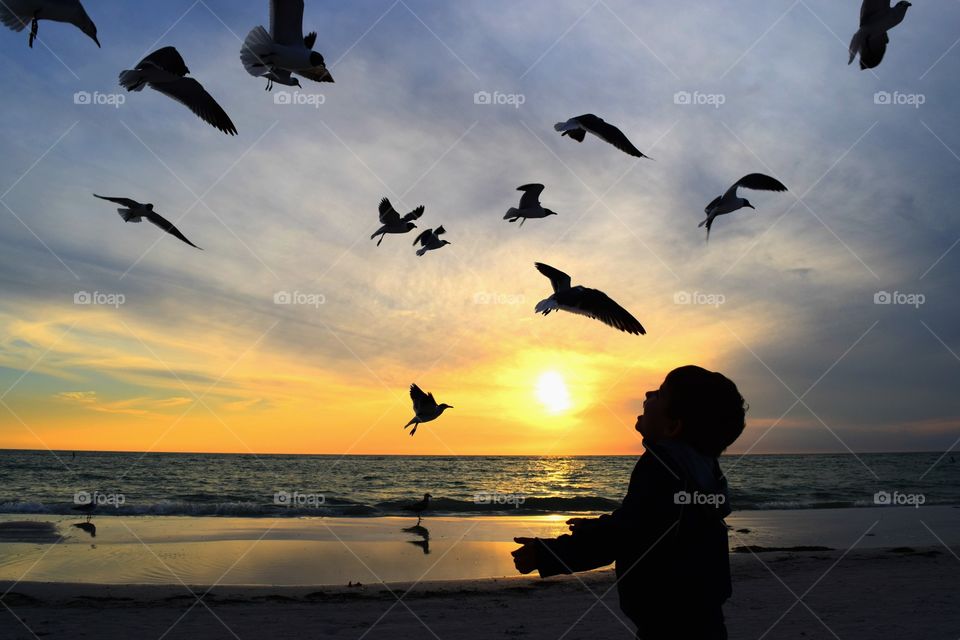 Silhouette of child and birds at sea