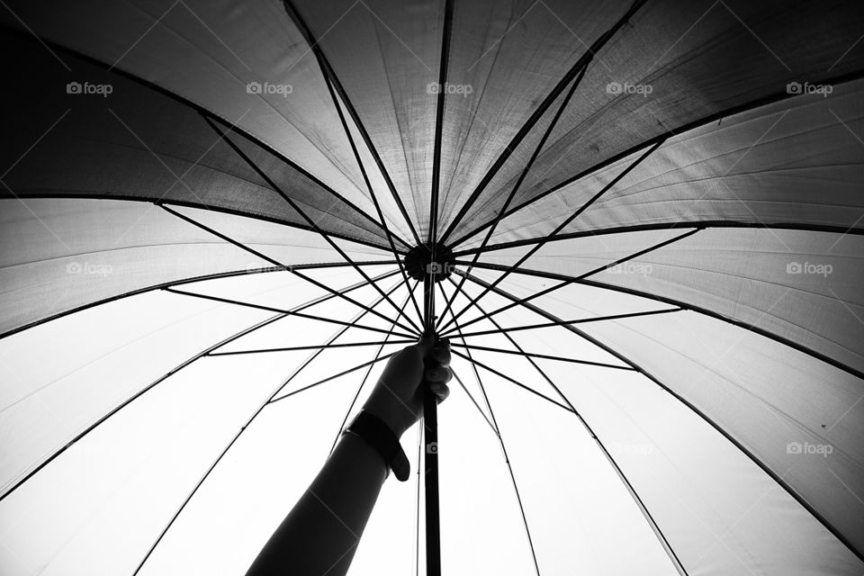 Close-up of person hand holding umbrella