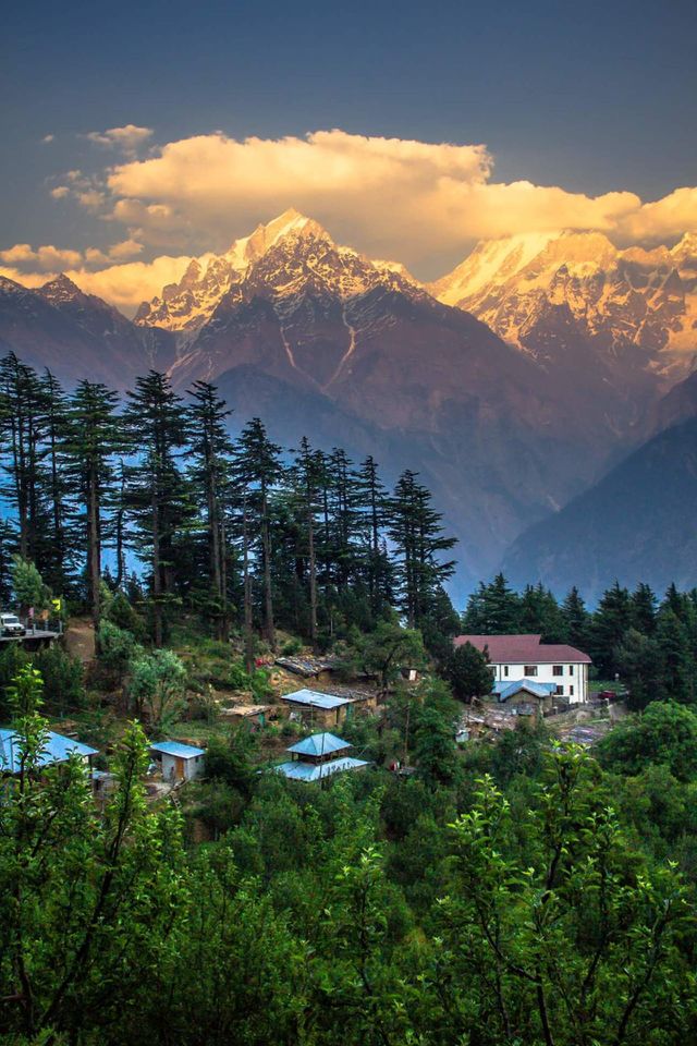 himachal prodesh (kapla)