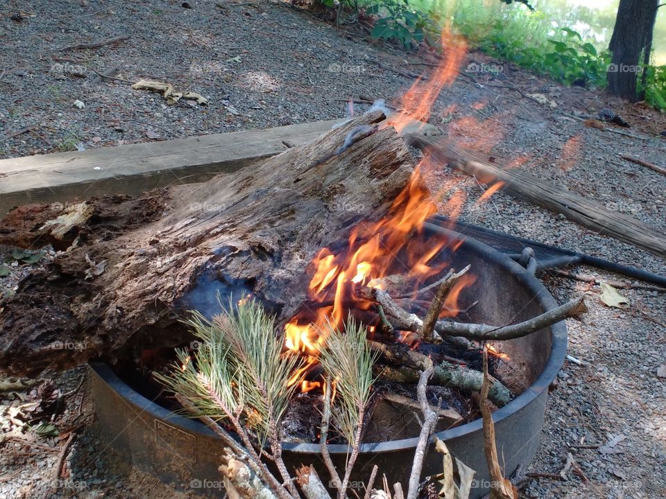 campfire