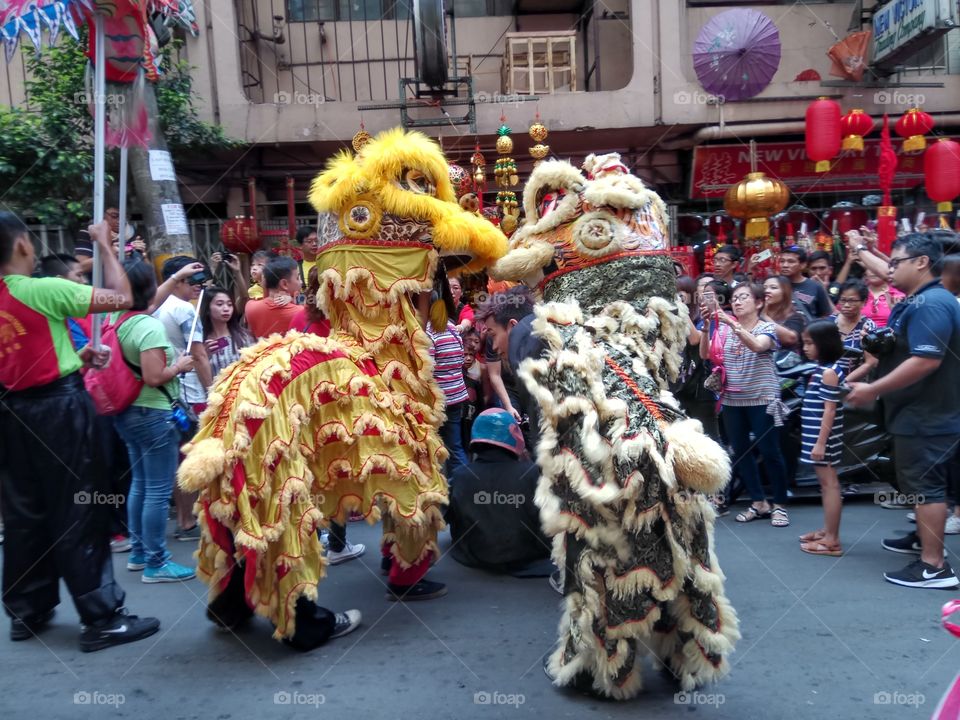 CHINESE NEW YEAR DRAGONS