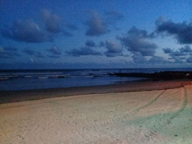 Night on the beach. Autumn in Brasil
