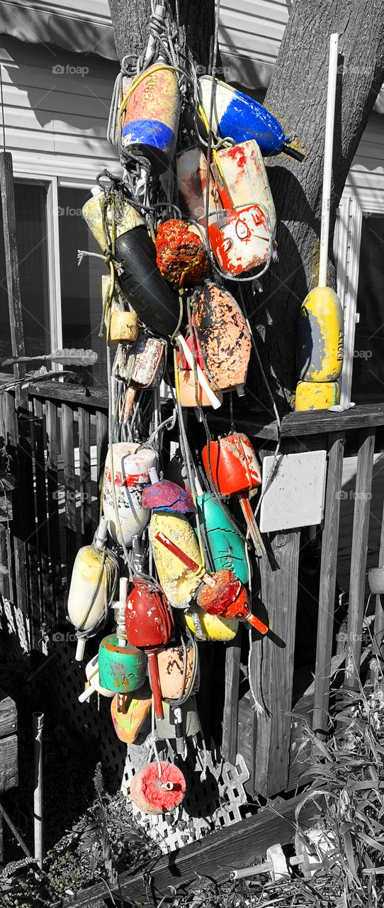 Buoys by the Bay