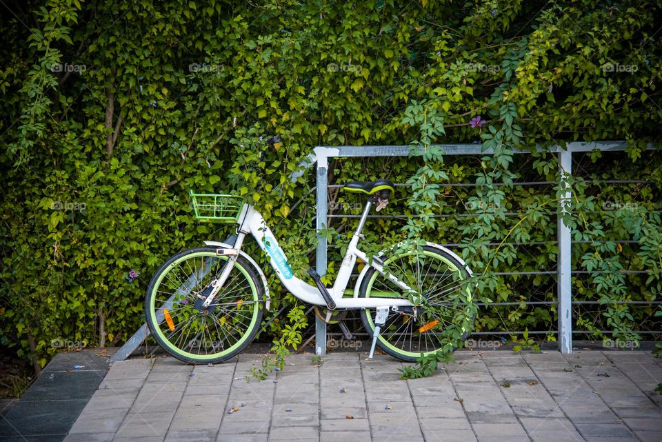 The bike is spotted in plants.