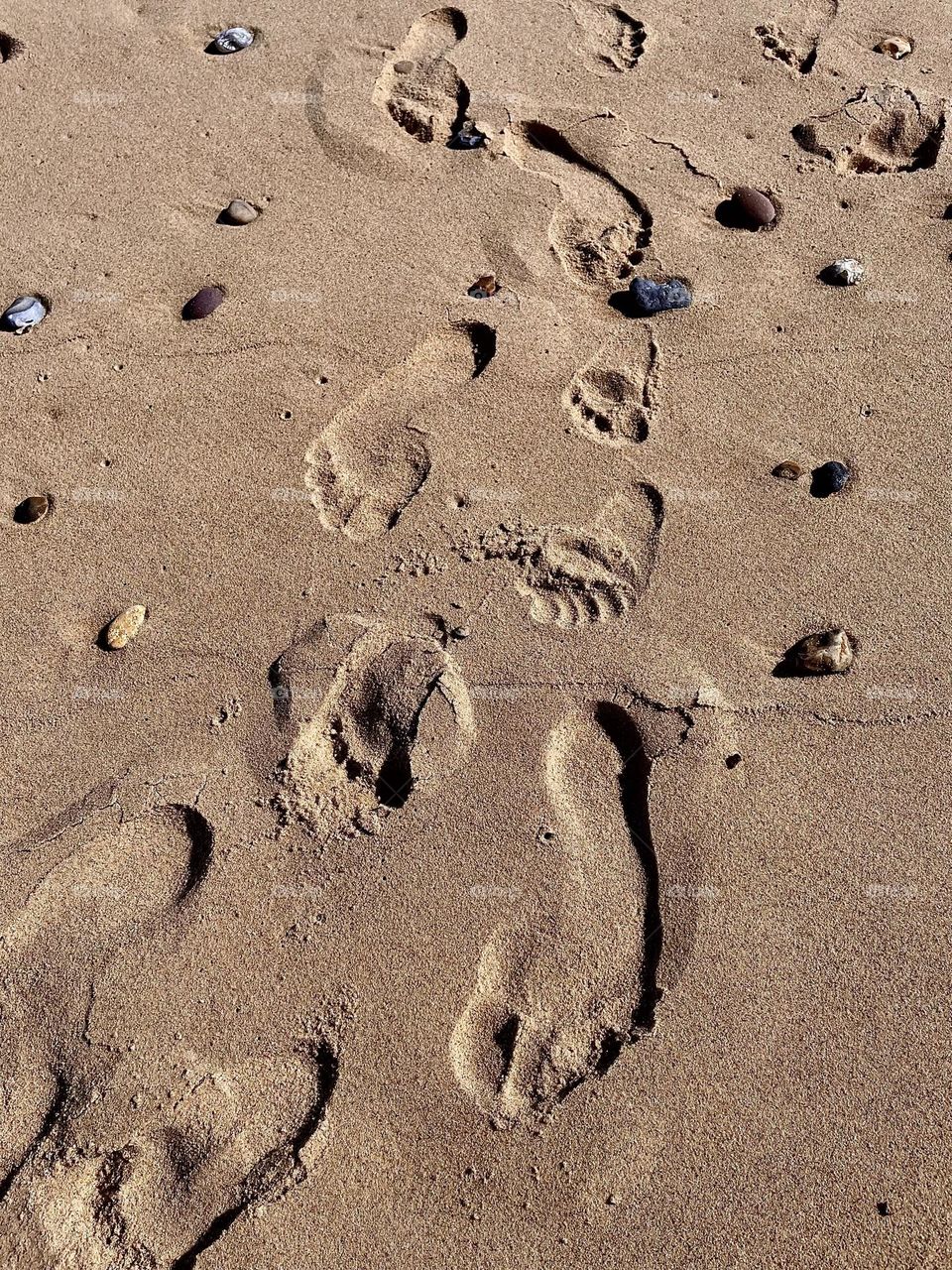 Parent and child footprints in the sand. Creating a lasting memory on a temporary landscape